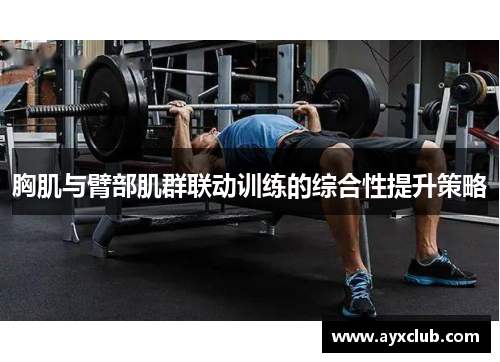 胸肌与臂部肌群联动训练的综合性提升策略